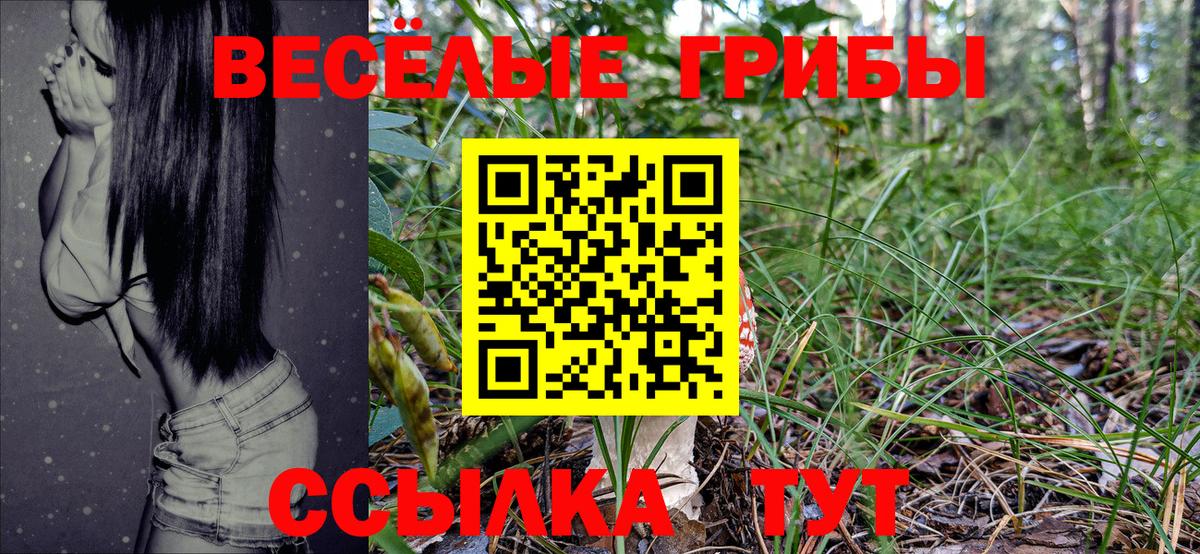 Псилоцибиновые грибы GOLDEN TEACHER Рыбинск